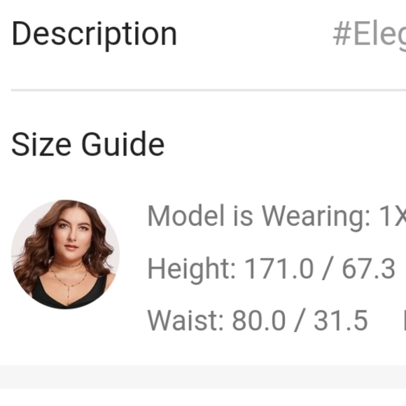 ⚡2/$20⚡1XL Plus Lace Trim Lantern Sleeve Peplum Top - SHEIN - Picture 8 of 8